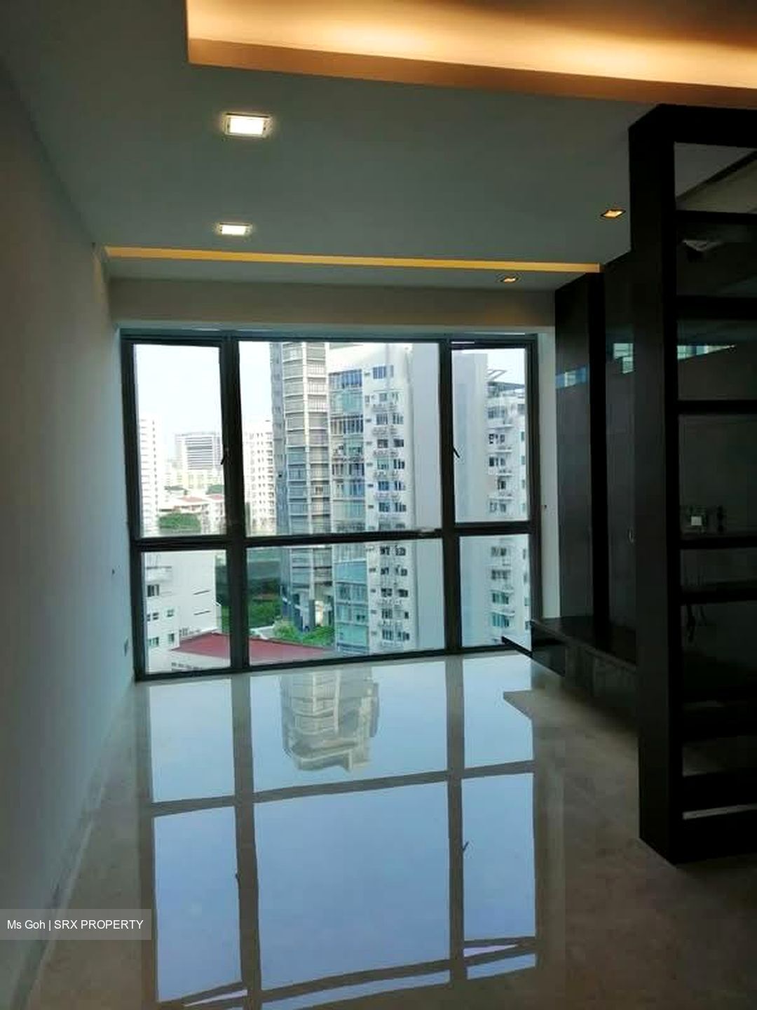 Park Infinia At Wee Nam (D11), Condominium #581289011